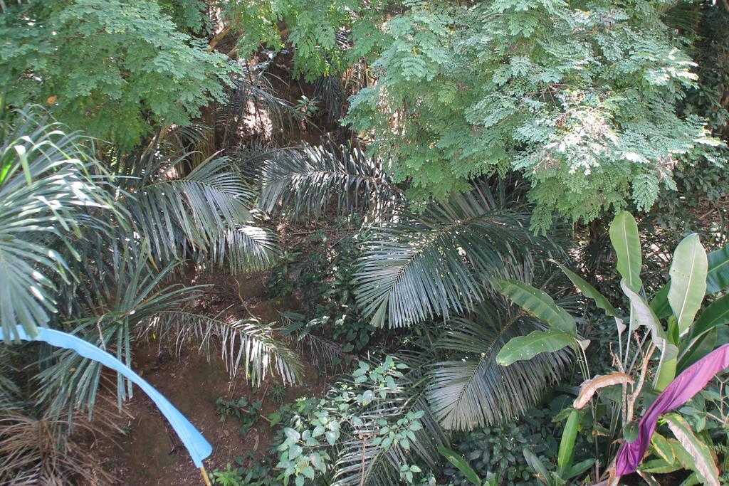 Bembengan Ubud Cottage מראה חיצוני תמונה